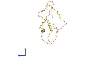 AlphaFold protein structure predicition of Human Recombinant ZNF503-AS2 Protein, UniprotID A6NEH8 (ZNF503-AS2 Protein (AA 1-195) (His tag))