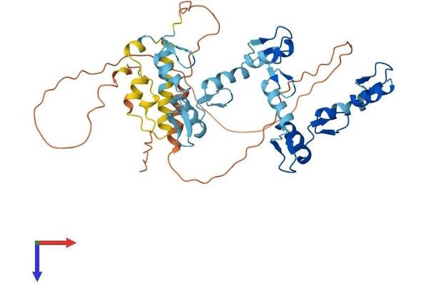 ZNF550 Protein (AA 1-422) (His tag)