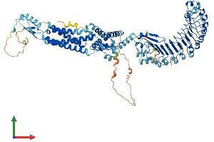 Protein Structure (PS) image for Leucine Rich Repeat Containing 8 Family, Member E (LRRC8E) (AA 1-795) protein (His tag) (ABIN7563996)