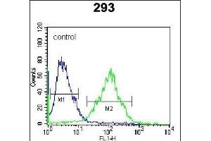 RS2 Antibody (C-term) (ABIN6242575 and ABIN6577319) flow cytometric analysis of 293 cells (right histogram) comred to a negative control cell (left histogram). (PARS2 Antikörper  (C-Term))