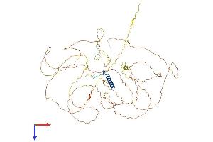 NUFIP2 Protein (AA 1-695) (His tag)