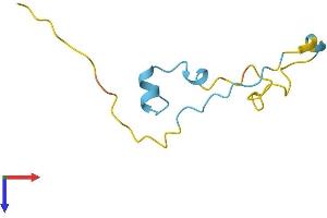 PDE6H Protein (AA 1-83) (Fc Tag)
