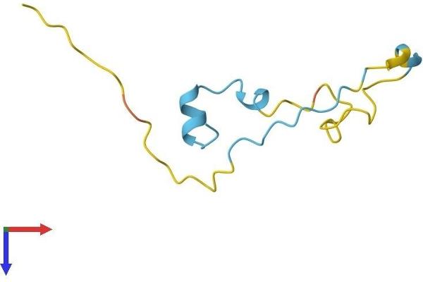 PDE6H Protein (AA 1-83) (Fc Tag)