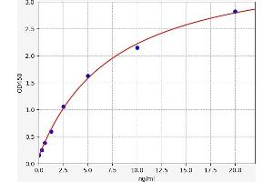 Typical standard curve (SLC40A1 ELISA Kit)