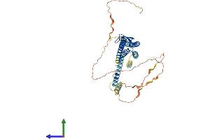 Protein Structure (PS) image for Gap Junction Protein, alpha 3, 46kDa (GJA3) (AA 1-435) protein (His tag) (ABIN7546823)