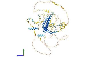 Protein Structure (PS) image for WW Domain Binding Protein 11 (WBP11) (AA 1-641) protein (His tag) (ABIN7545184)