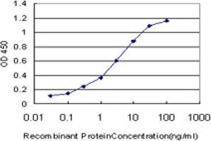Detection limit for recombinant GST tagged RORB is approximately 0. (RORB Antikörper  (AA 136-224))