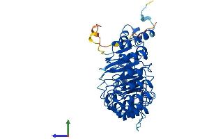 Protein Structure (PS) image for F-Box and Leucine-Rich Repeat Protein 14 (FBXL14) (AA 1-418) protein (His tag) (ABIN7547837)