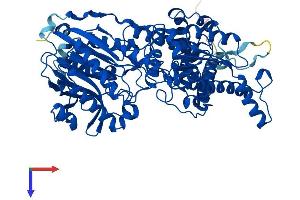 NADSYN1 Protein (AA 1-706) (His tag)
