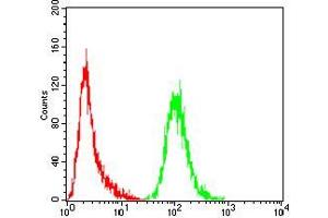 Flow Cytometry (FACS) image for anti-NADPH Oxidase 4 (NOX4) (AA 210-310) antibody (ABIN5872374) (NADPH Oxidase 4 Antikörper  (AA 210-310))