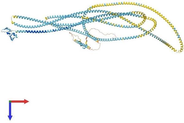 EEA1 Protein (AA 1-1411) (His tag)