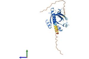 Protein Structure (PS) image for RAB33A, Member RAS Oncogene Family (RAB33A) (AA 1-237) protein (His tag) (ABIN7556840)