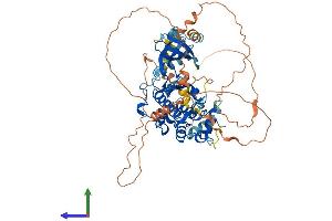 Protein Structure (PS) image for Mitogen-Activated Protein Kinase 4 (MAPK4) (AA 1-587) protein (His tag) (ABIN7549406)