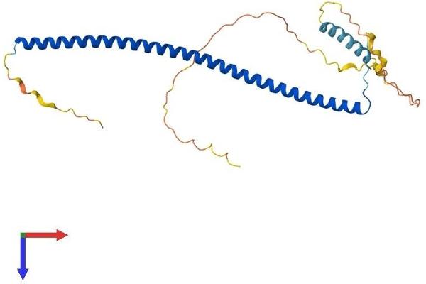 PRKCDBP Protein (AA 1-261) (His tag)
