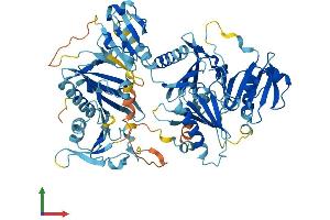 Protein Structure (PS) image for Scinderin (SCIN) (AA 1-715) protein (His tag) (ABIN7552103)