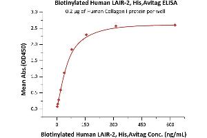 ELISA image for Leukocyte-Associated Immunoglobulin-Like Receptor 2 (LAIR2) (AA 22-152) protein (His tag,AVI tag,Biotin) (ABIN5674601)