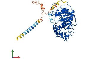 AlphaFold protein structure predicition of Mouse Recombinant St8sia3 Protein, UniprotID Q64689