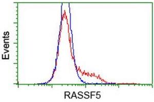 Flow Cytometry (FACS) image for anti-Ras Association (RalGDS/AF-6) Domain Family Member 5 (RASSF5) antibody (ABIN1500615)