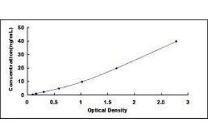 Coagulation Factor VIII (F8) ELISA Kit