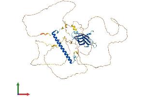 Protein Structure (PS) image for RAB11 Family Interacting Protein 5 (Class I) (RAB11FIP5) (AA 1-645) protein (His tag) (ABIN7559725)