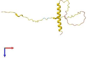 AlphaFold protein structure predicition of Human Recombinant DIRC1 Protein, UniprotID Q969H9