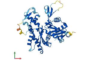 Protein Structure (PS) image for Actin-Related Protein T1 (ACTRT1) (AA 1-376) protein (His tag) (ABIN7561172)