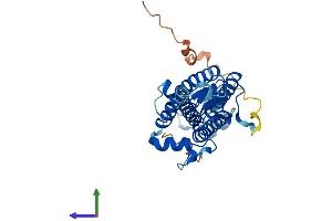 AlphaFold protein structure predicition of Human Recombinant ZDHHC3 Protein, UniprotID Q9NYG2