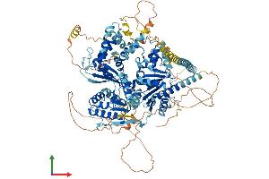 Protein Structure (PS) image for DEAD/H (Asp-Glu-Ala-Asp/His) Box Polypeptide 11 (DDX11) (AA 1-970) protein (His tag) (ABIN7553638)