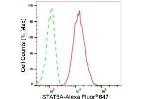 Flow cytometric analysis of STAT5A expression in C2C12 cells using STAT5A antibody (ABIN7800347), 1:2,000). (Rekombinanter STAT5A Antikörper)
