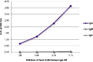 ELISA plate was coated with purified human IgG, IgM, and IgA. (Ziege anti-Human IgG (Heavy Chain) Antikörper (Alkaline Phosphatase (AP)))