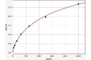 Complement Factor H (CFH) ELISA Kit