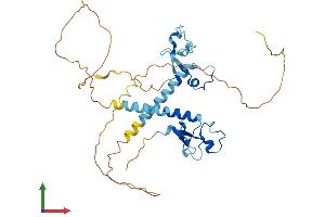 AlphaFold protein structure predicition of Mouse Recombinant Mbnl2 Protein, UniprotID Q8C181 (MBNL2 Protein (AA 1-373) (His tag))