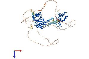 Crossover junction endonuclease EME1 (EME1) (AA 1-570) protein (His tag)