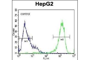 PK1 Antibody (C-term) (ABIN1882175 and ABIN2841383) flow cytometric analysis of HepG2 cells (right histogram) compared to a negative control cell (left histogram). (ERK2 Antikörper  (C-Term))