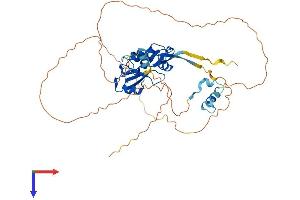 SOCS4 Protein (AA 1-440) (His tag)