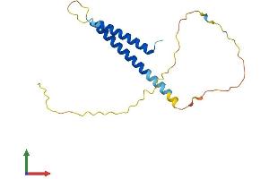 Protein Structure (PS) image for Chromosome 17 Open Reading Frame 49 (C17orf49) (AA 1-172) protein (His tag) (ABIN7552604)