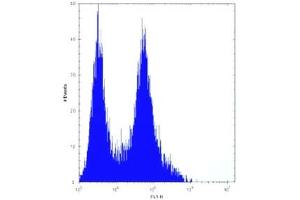 Flow Cytometry (FACS) image for anti-Prohibitin (PHB) (AA 89-117) antibody (ABIN3032316)