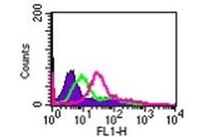 Image no. 3 for anti-Interleukin 24 (IL24) (AA 100-150) antibody (ABIN302672) (IL-24 Antikörper  (AA 100-150))