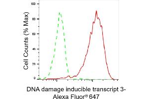 Flow cytometric analysis of DNA damage inducible transcript 3 expression in HepG2 cells using DNA damage inducible transcript 3c antibody (ABIN7798369), 1:2,000). (Rekombinanter DDIT3 Antikörper)