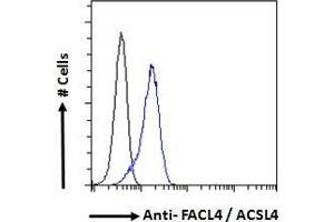 ABIN184846 Flow cytometric analysis of paraformaldehyde fixed HeLa cells (blue line), permeabilized with 0.