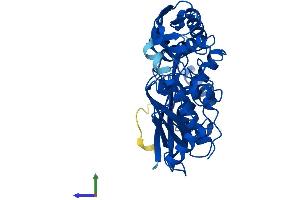 Protein Structure (PS) image for Methionine Adenosyltransferase II, alpha (MAT2A) (AA 1-395) protein (His tag) (ABIN7549384)