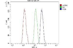 Flow Cytometry analysis of A431 cells using anti-PAX4 antibody (ABIN7602426). (PAX4 Antikörper  (AA 76-350))