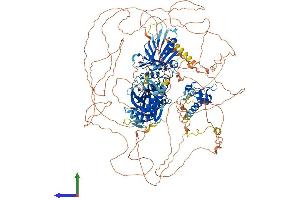 Protein Structure (PS) image for Zinc Finger, FYVE Domain Containing 9 (ZFYVE9) (AA 1-1425) protein (His tag) (ABIN7556095)