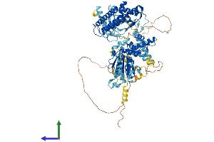 Protein Structure (PS) image for AFG3-Like Protein 2 (AFG3L2) (AA 1-802) protein (His tag) (ABIN7559401)