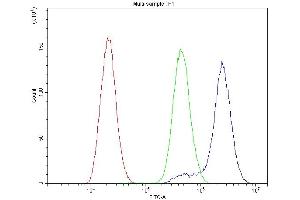 Flow Cytometry analysis of U-87 cells using anti-CTNNA1 antibody (ABIN3043818). (CTNNA1 Antikörper  (AA 143-292))