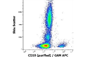 Flow cytometry surface staining pattern of human peripheral blood stained using anti-human CD19 (4G7) purified antibody (concentration in sample 3 μg/mL) GAM APC. (CD19 Antikörper)