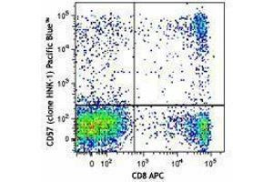 Flow Cytometry (FACS) image for anti-beta-1,3-Glucuronyltransferase 1 (Glucuronosyltransferase P) (B3GAT1) antibody (Pacific Blue) (ABIN2662173) (CD57 Antikörper  (Pacific Blue))