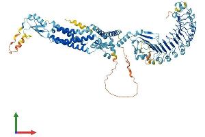 Protein Structure (PS) image for Leucine Rich Repeat Containing 8 Family, Member B (LRRC8B) (AA 1-803) protein (His tag) (ABIN7554433)