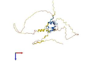 Nanos Homolog 1 Protein (NANOS1) (AA 1-292) (His tag)
