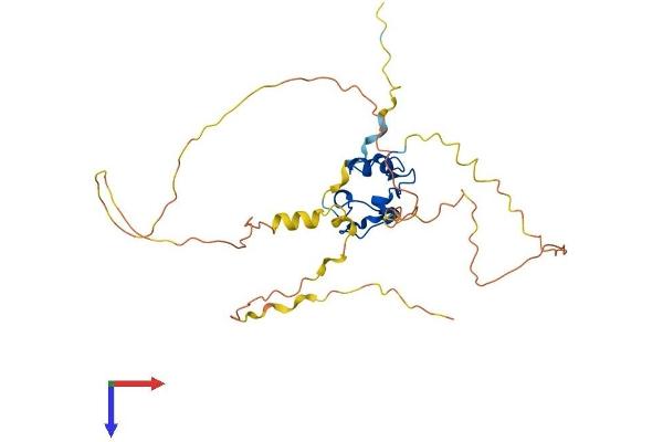 Nanos Homolog 1 Protein (NANOS1) (AA 1-292) (His tag)